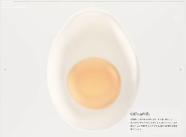 WEBサイト「卵殻膜のチカラ」