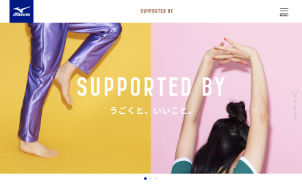 SUPPORTED BY