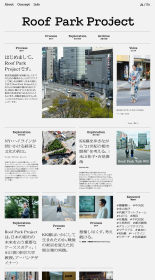 Roof Park Project